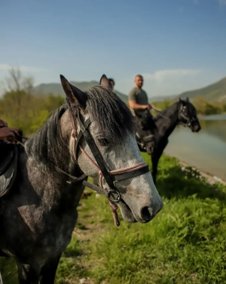 Лошадь — лучший гид!