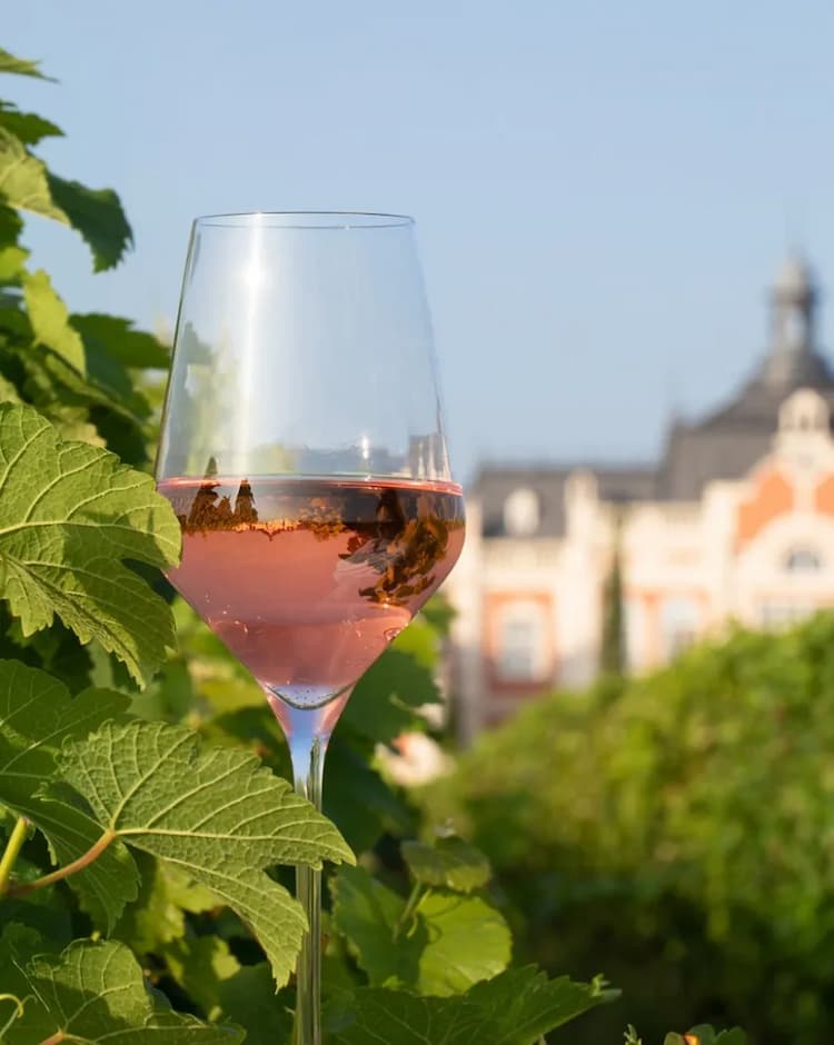 Бокал — к бокалу!