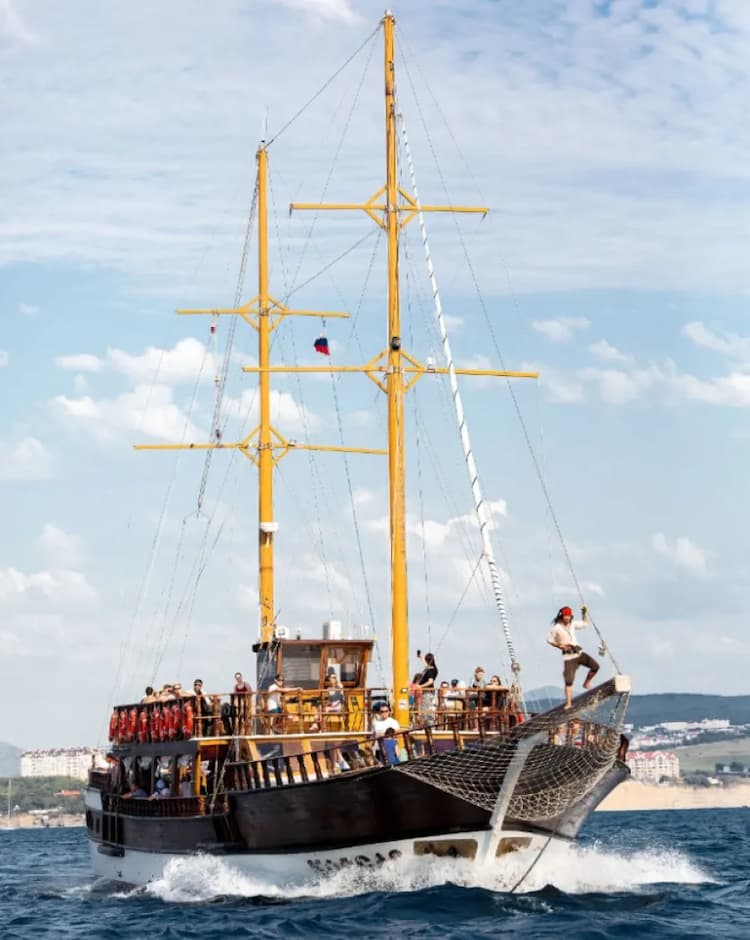 Дельфины, скалы, закат!