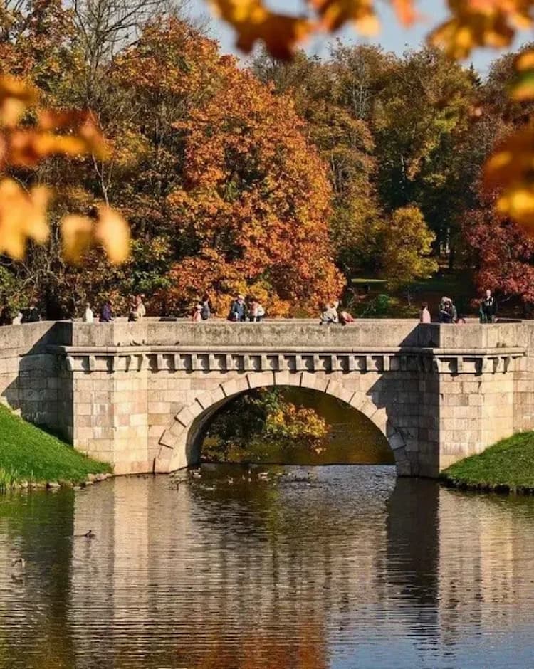 Не Эрмитажем единым