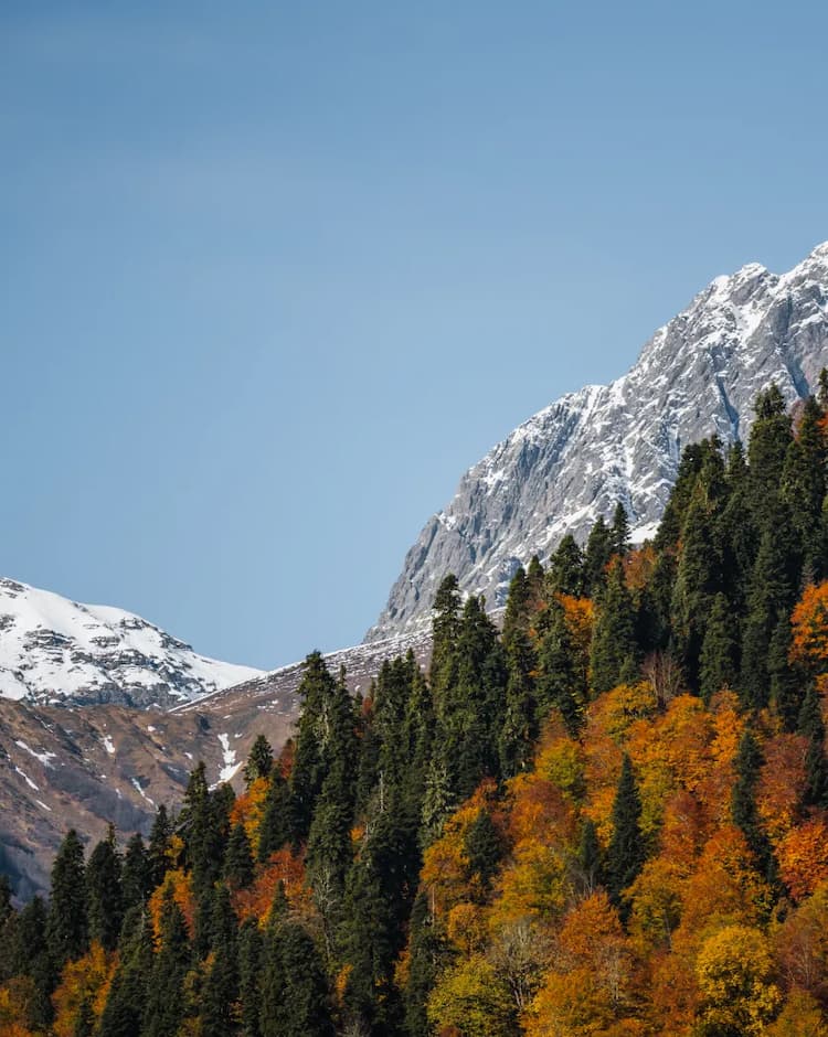 Джиппинг в Абхазии
