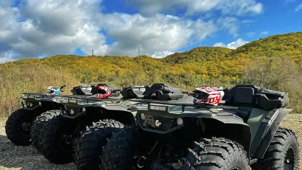 Изображение услуги1