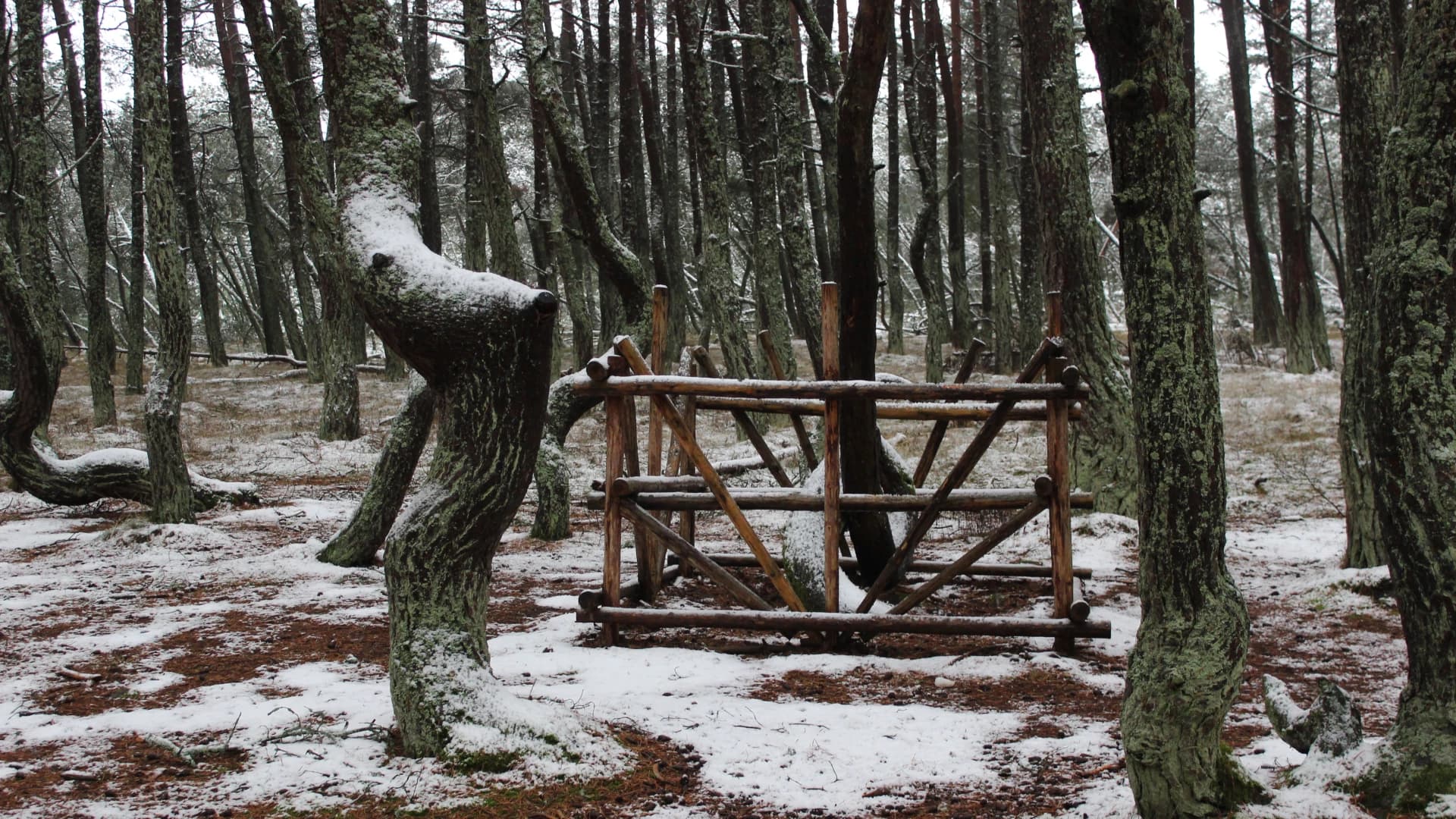 Изображение услуги2