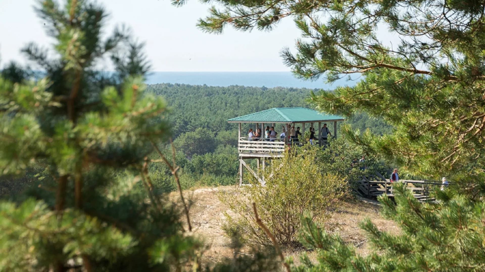 Групповая экскурсия в национальный парк "Куршская Коса" и Зеленоградск