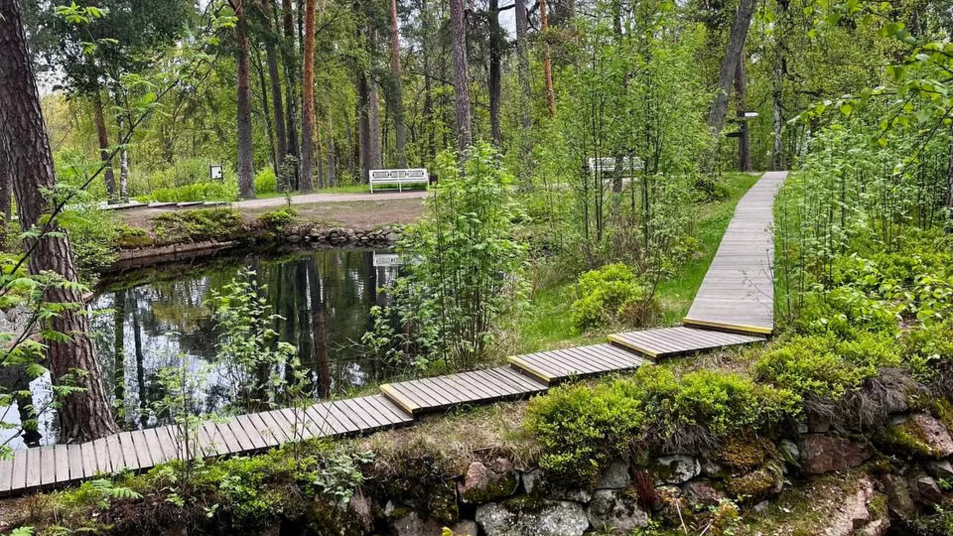 Индивидуальная экскурсия в Выборг изображение 1