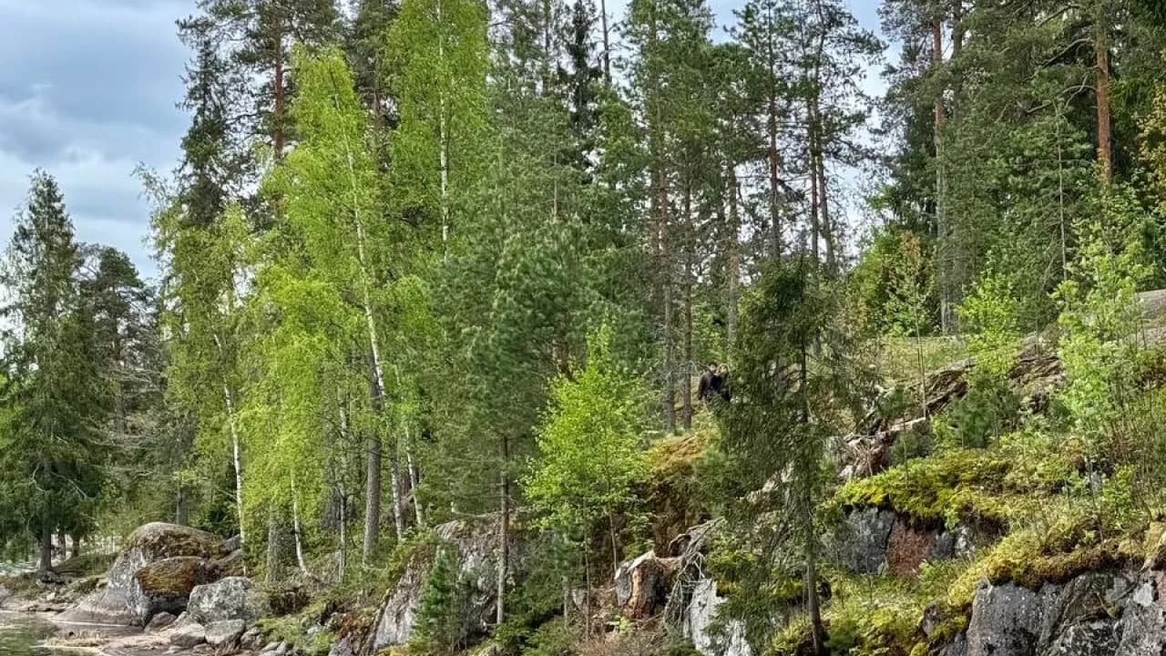 Изображение услуги3