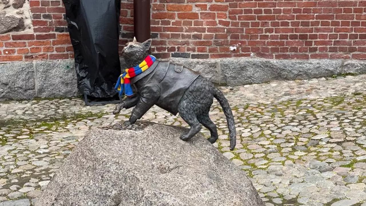 Изображение услуги6