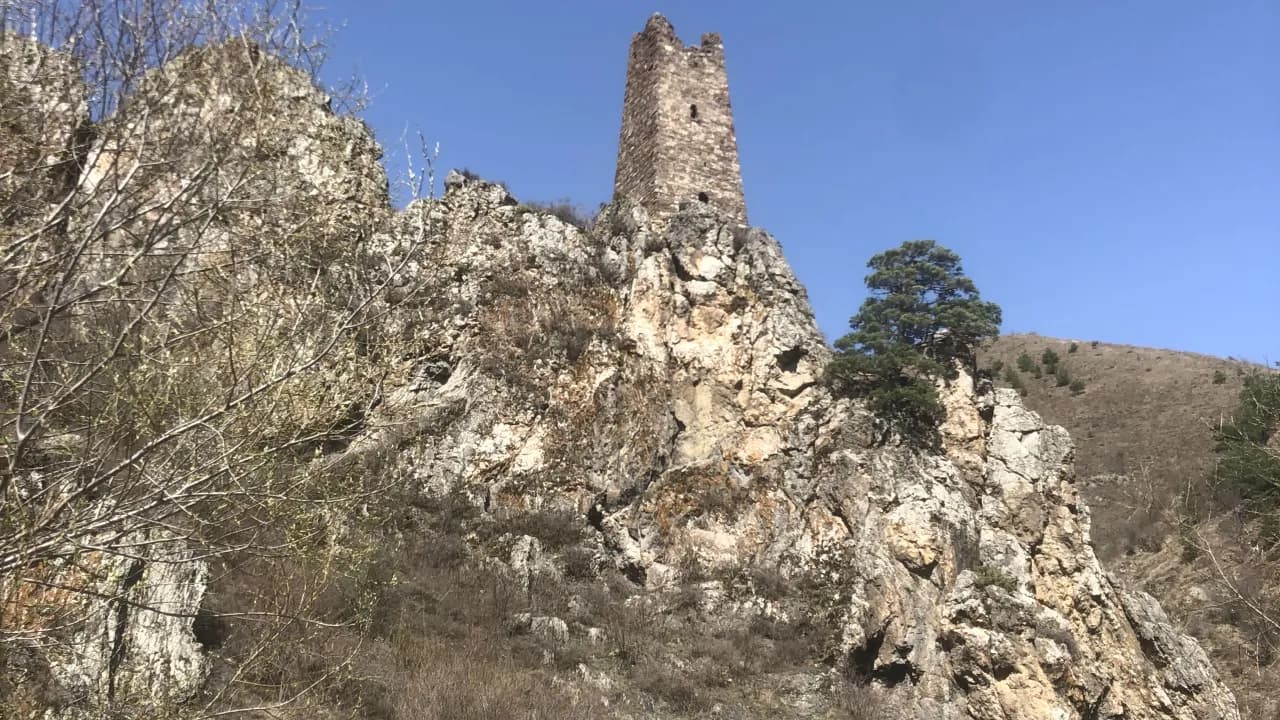 Изображение услуги3