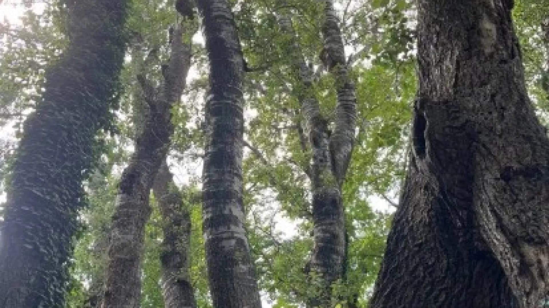 Изображение услуги3