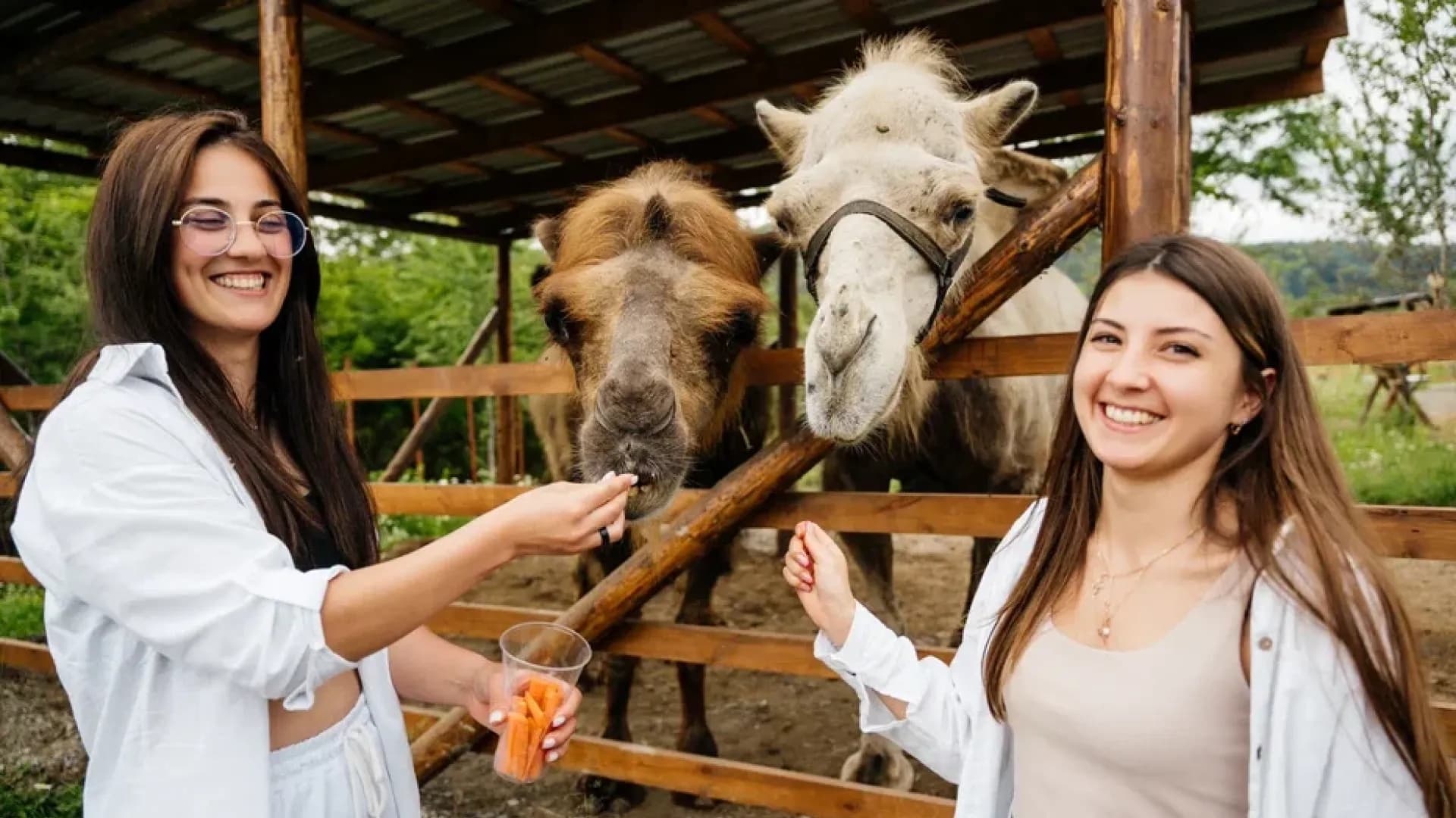Джип-тур с посещением эко-фермы и самшитового леса "Гуляй в горы"