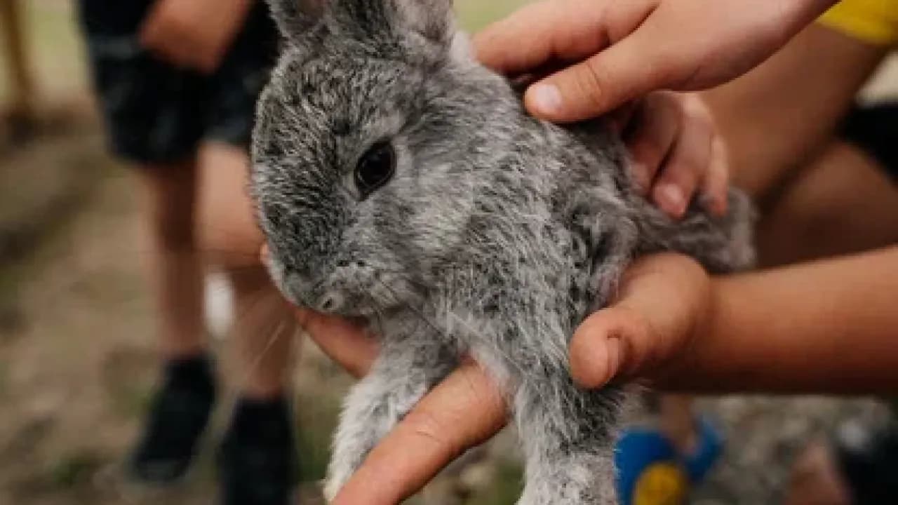 Изображение услуги7