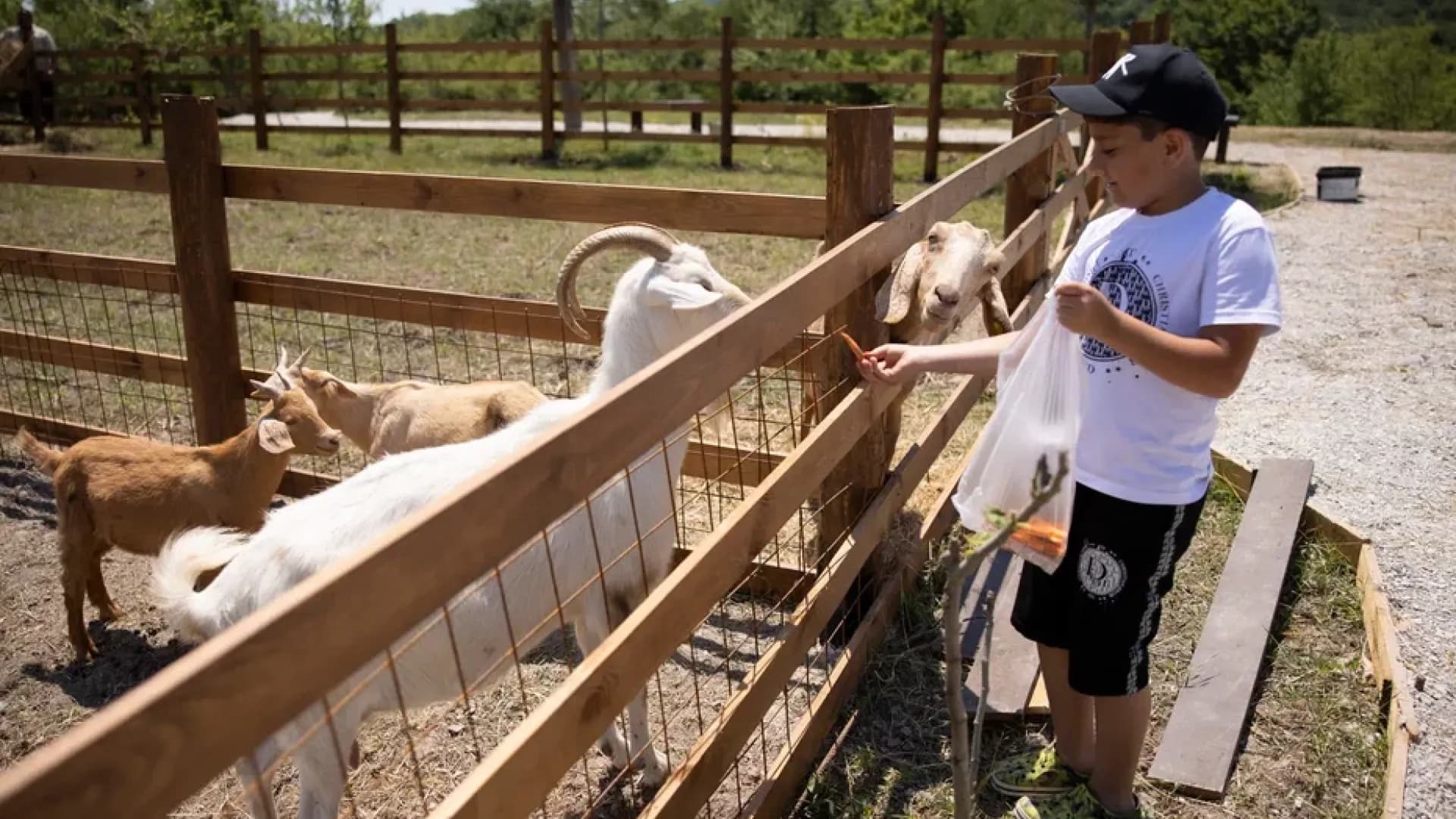 Изображение услуги9