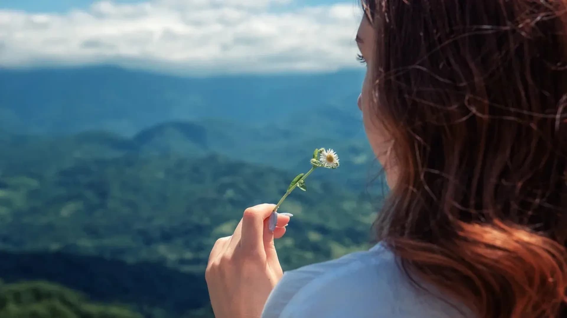 Изображение услуги14