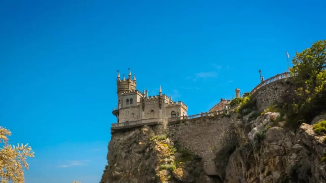 Изображение услуги7