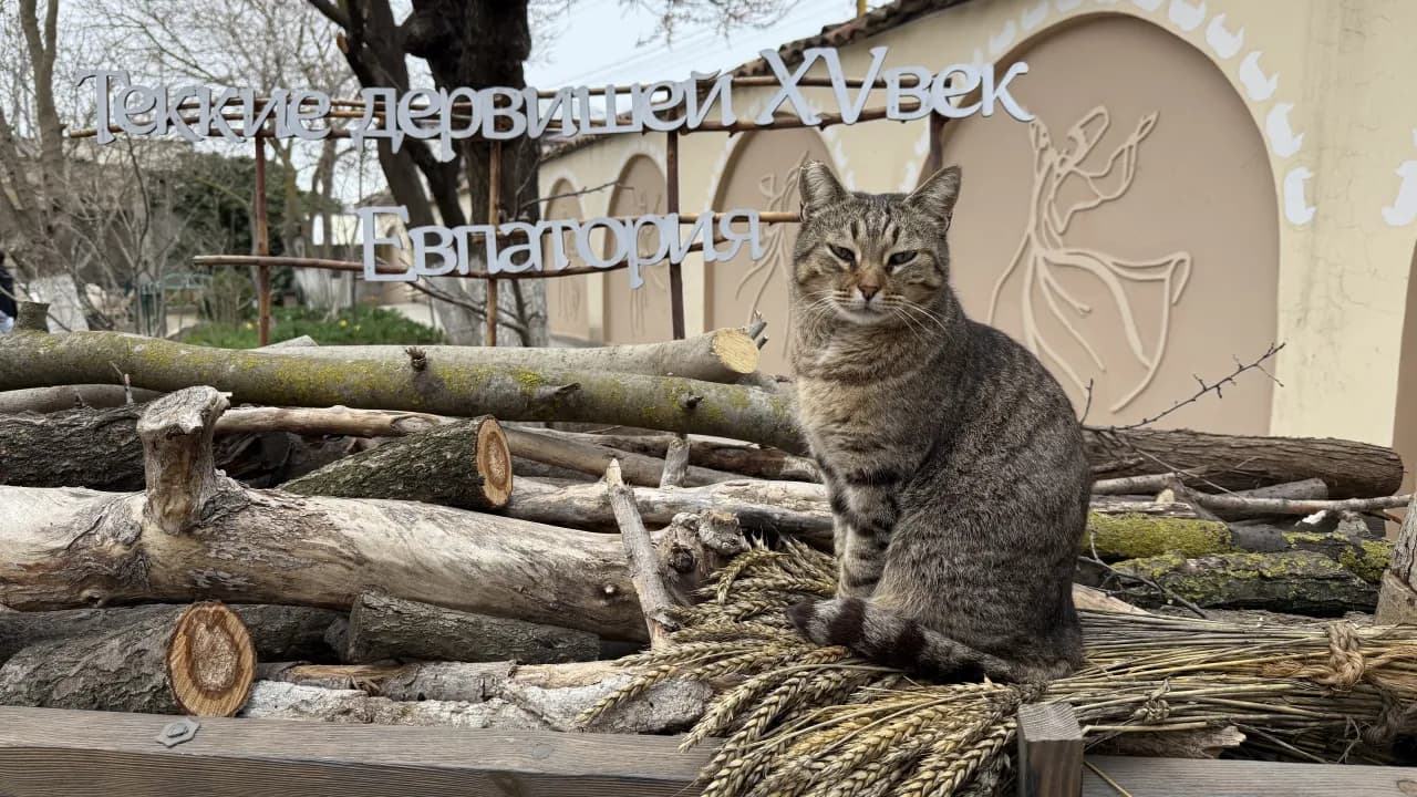 Изображение услуги12
