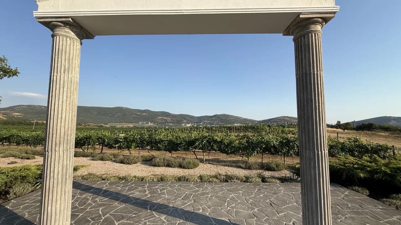 Изображение услуги6