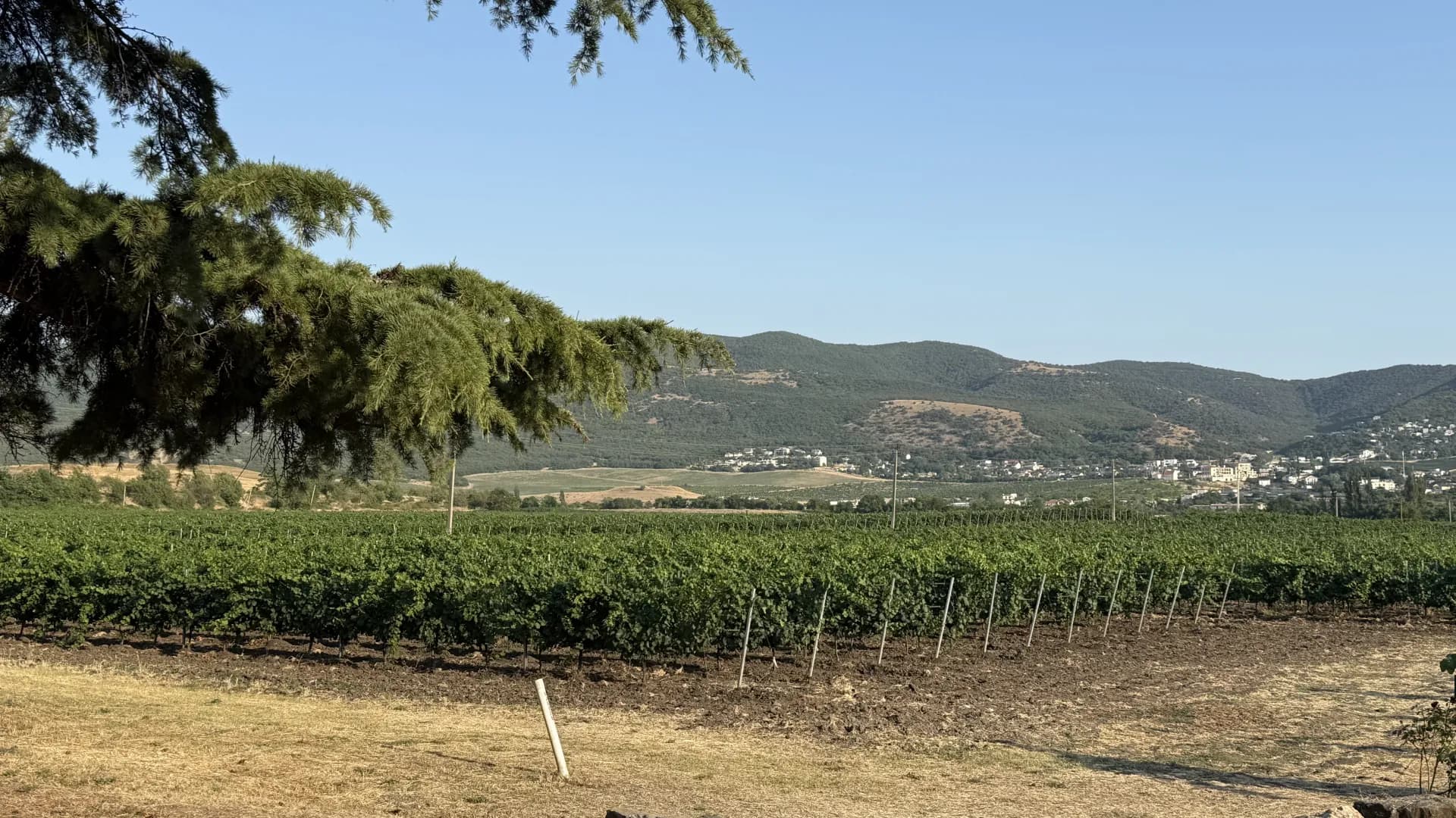 Изображение услуги8