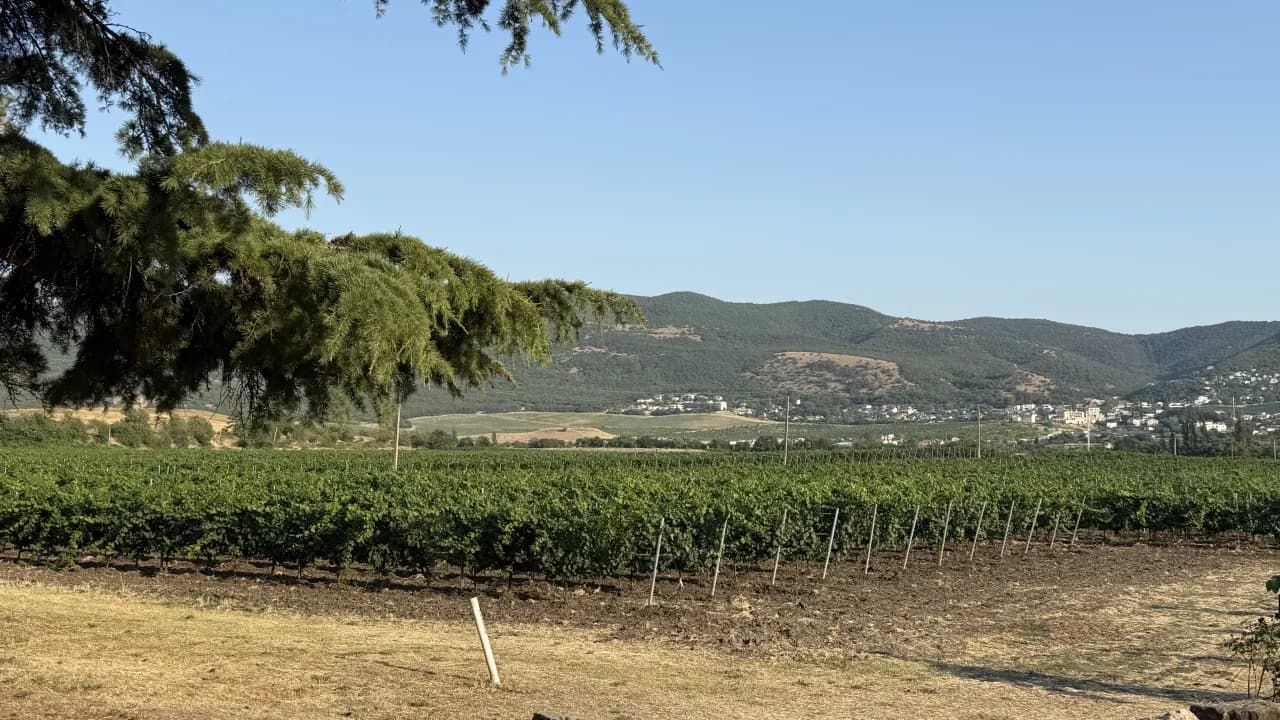 Изображение услуги8