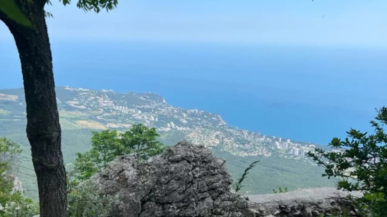 Изображение услуги1