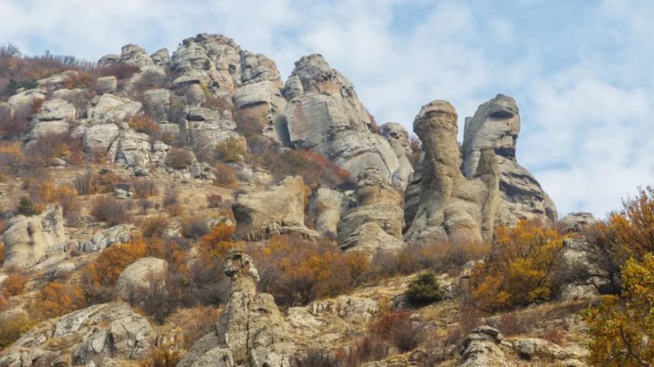 Изображение услуги4