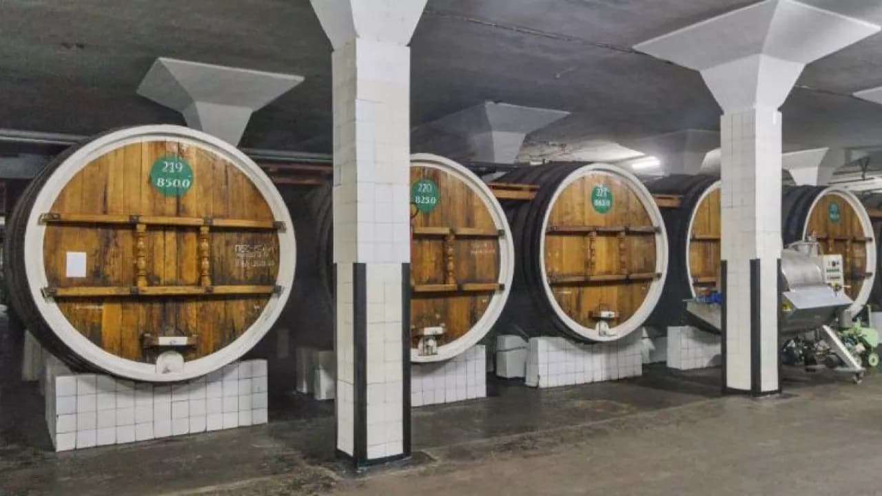 Изображение услуги9
