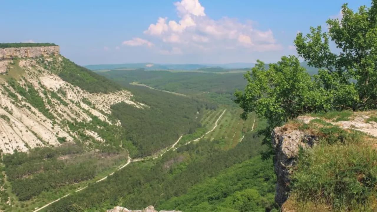 Изображение услуги9