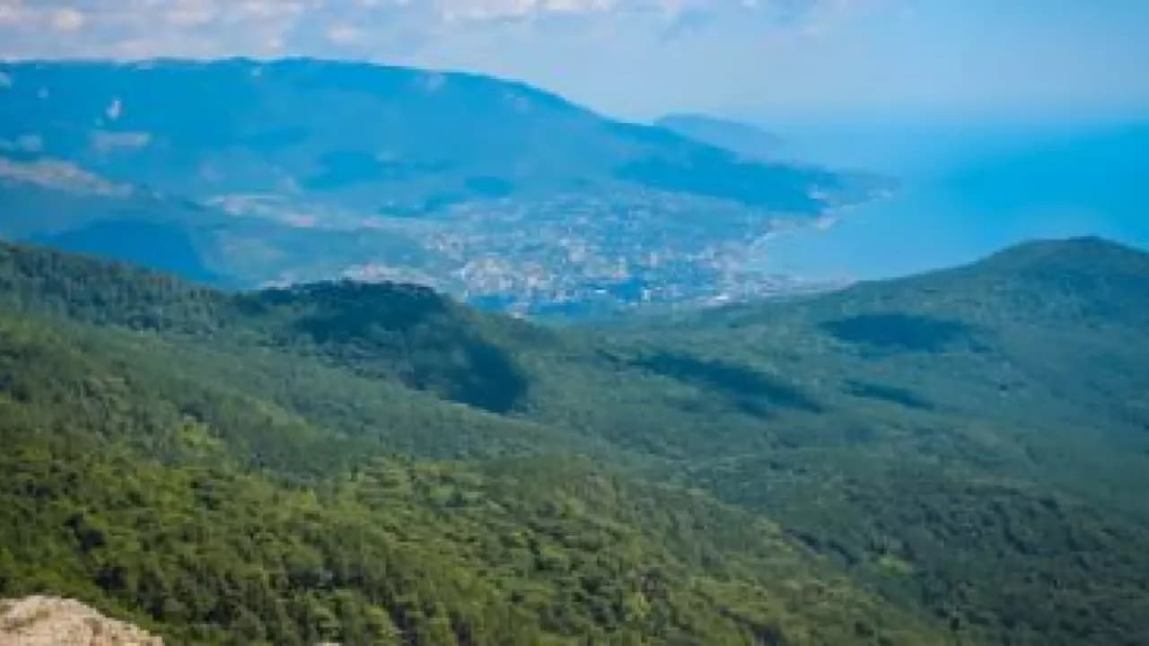 Изображение услуги5