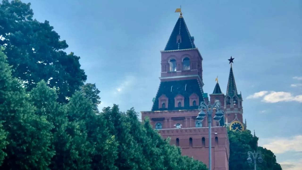 Изображение услуги5