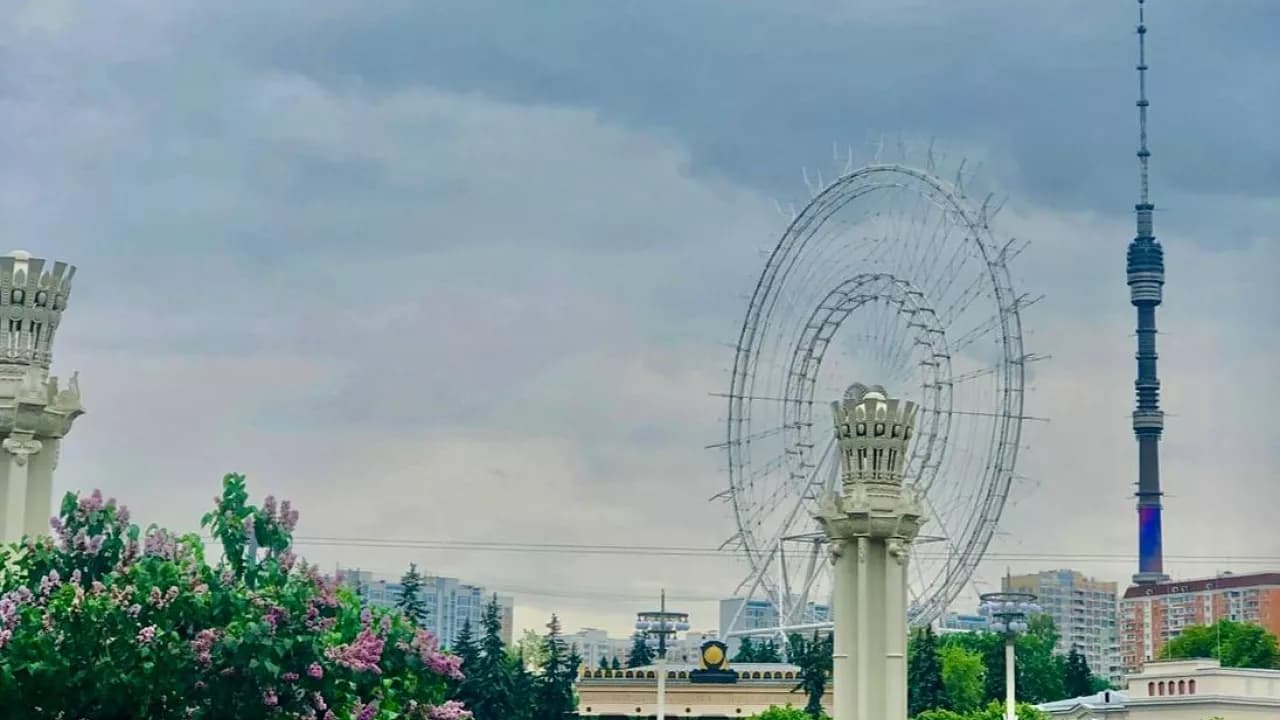 Изображение услуги3