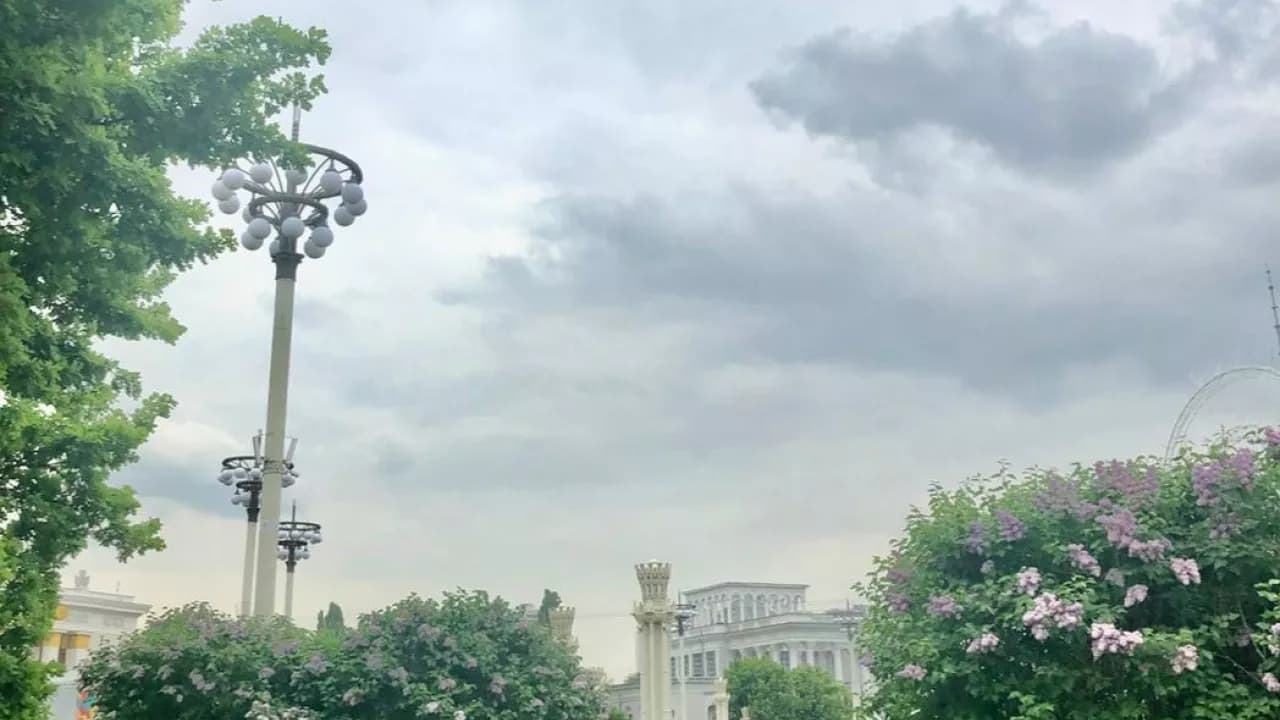 Изображение услуги1