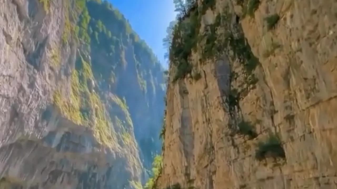 Изображение услуги5