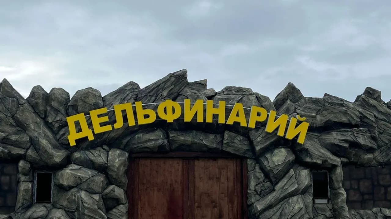 Изображение услуги1