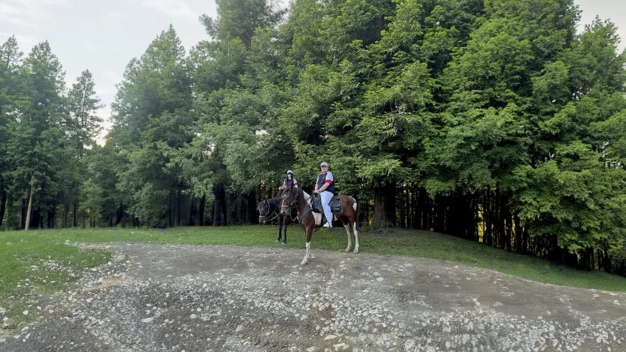 Изображение услуги5