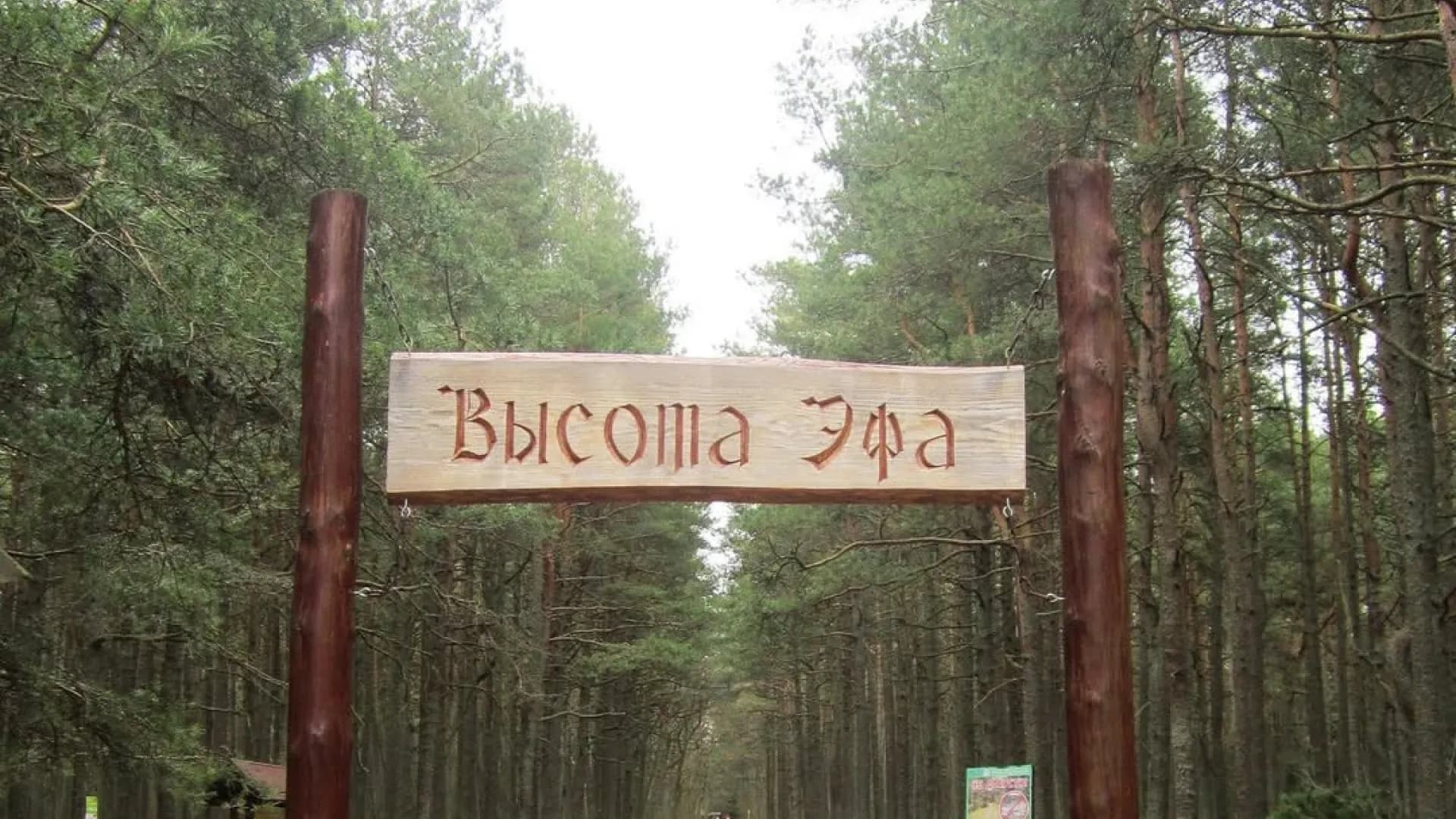 Изображение услуги4