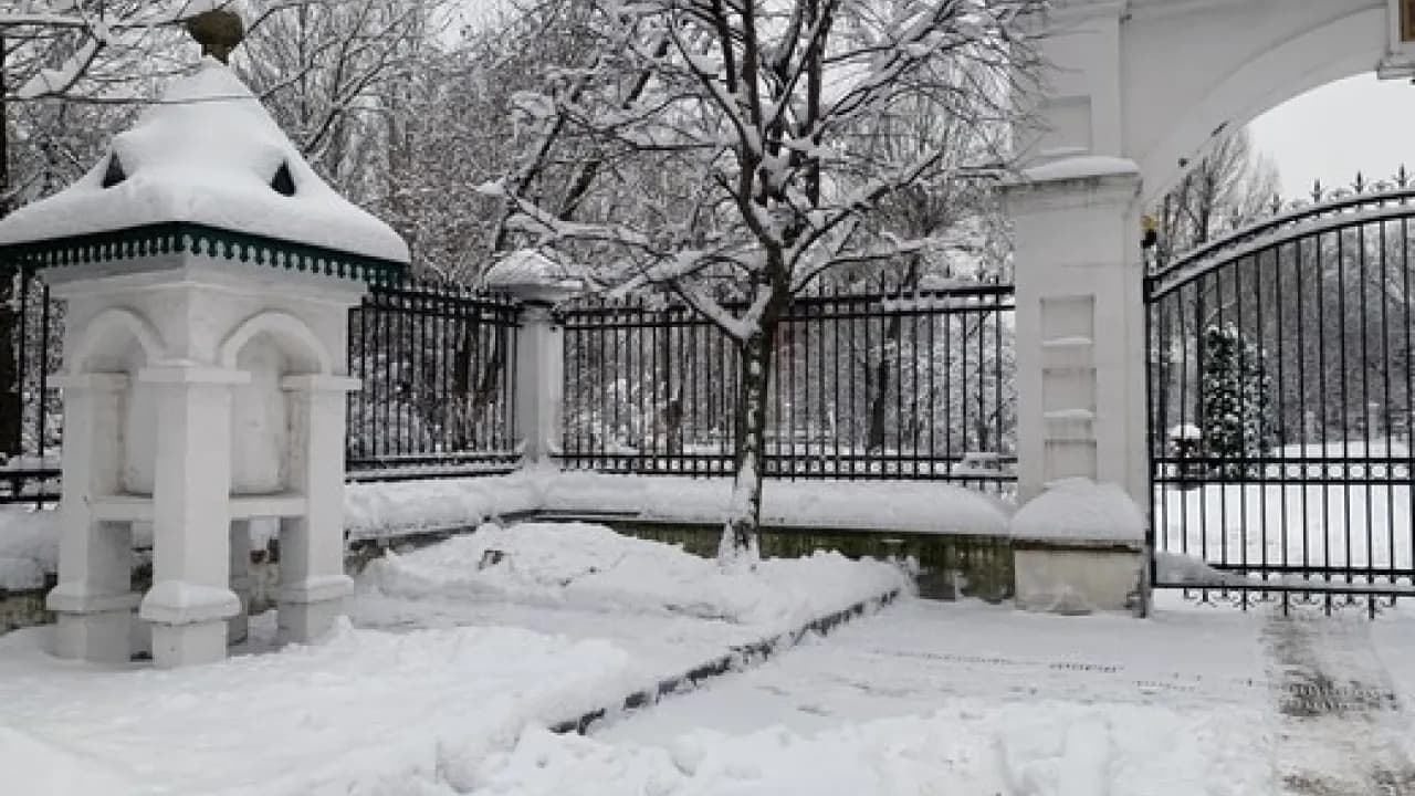 Изображение услуги8