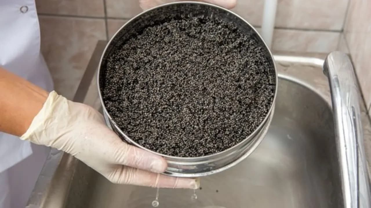Изображение услуги1