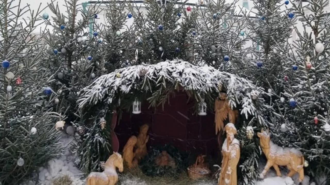 Изображение услуги1