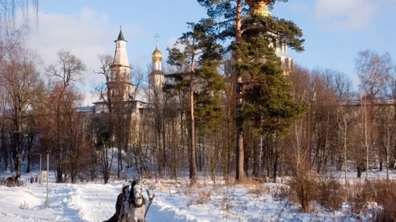 Изображение услуги2