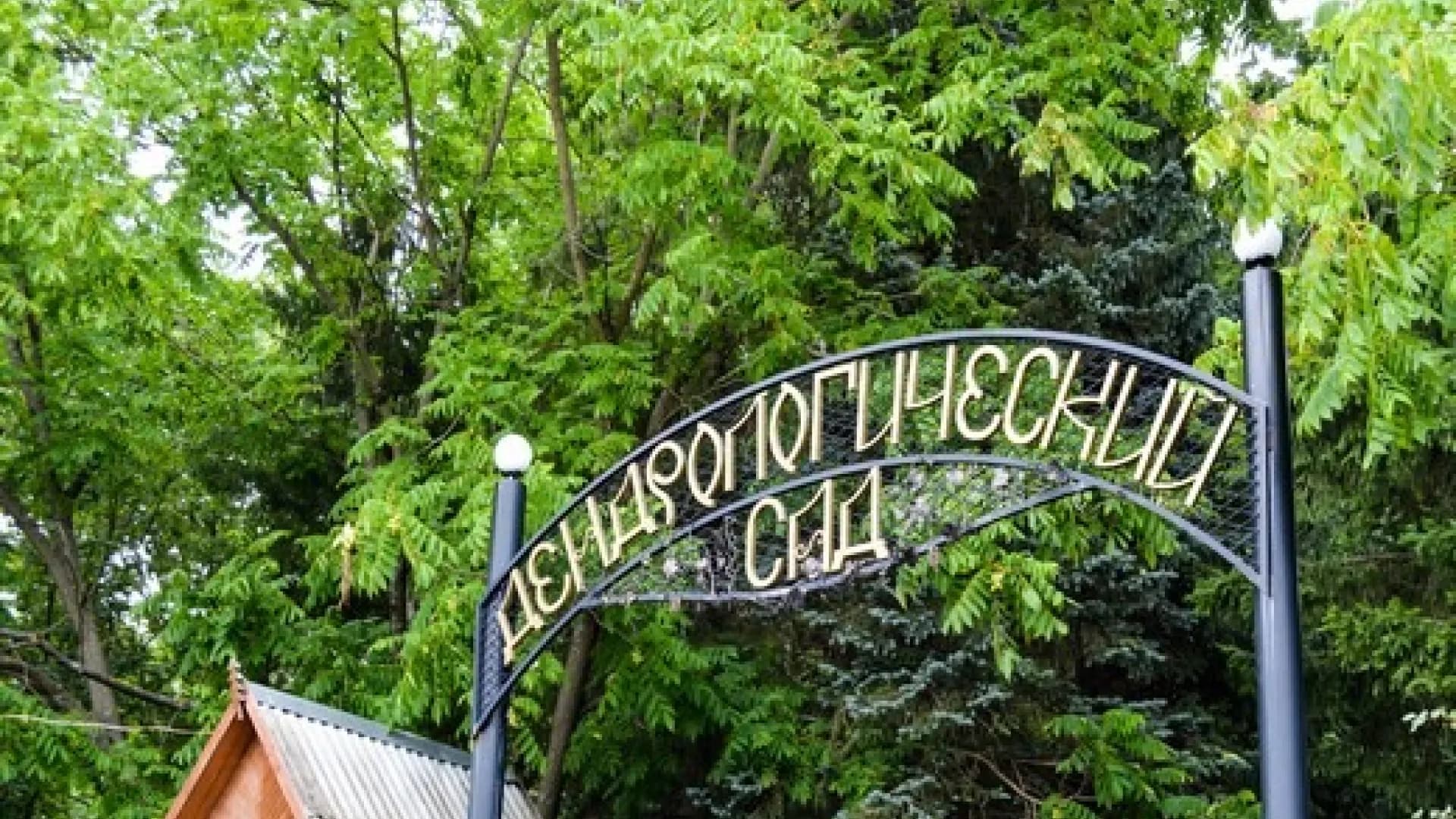 Изображение услуги5