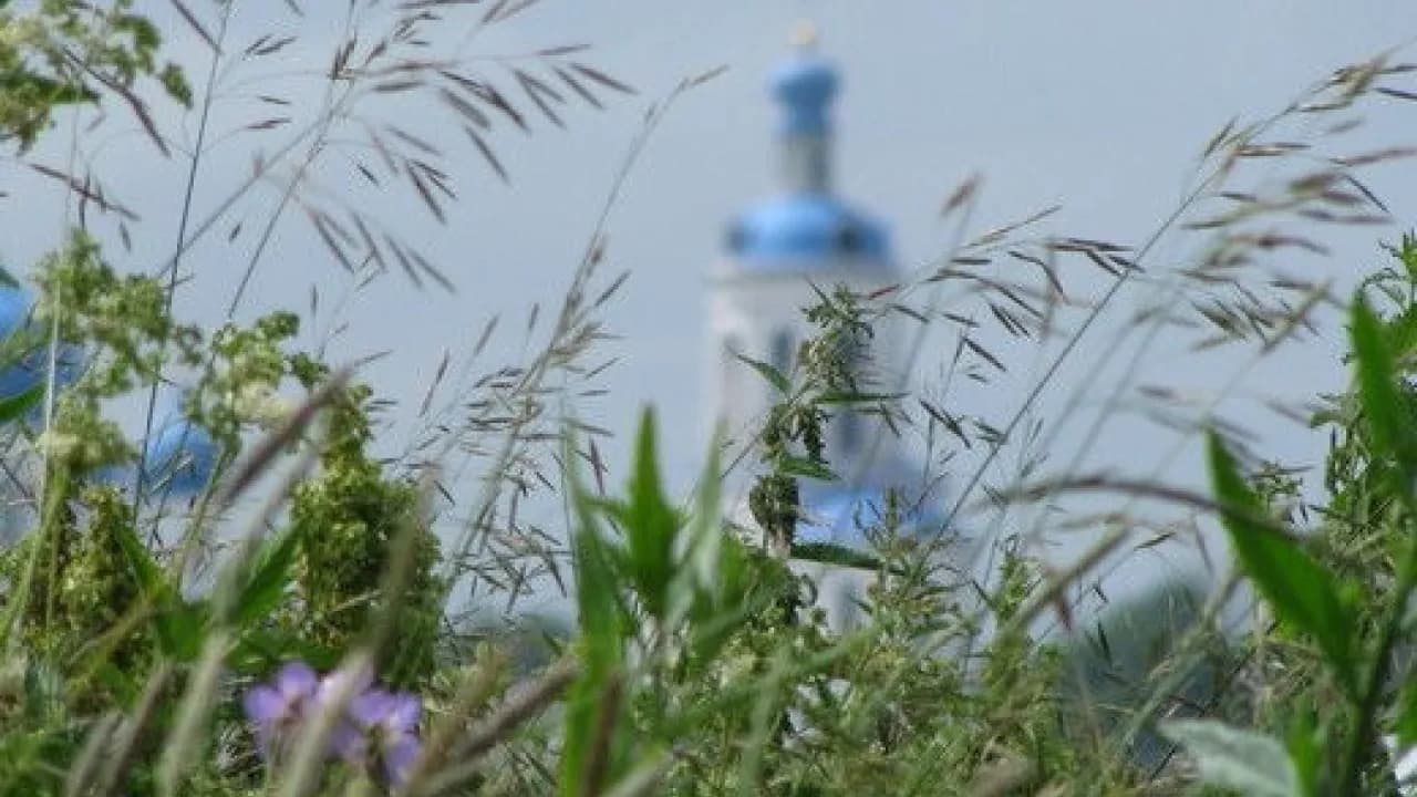 Изображение услуги9