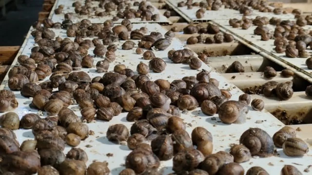 Изображение услуги13