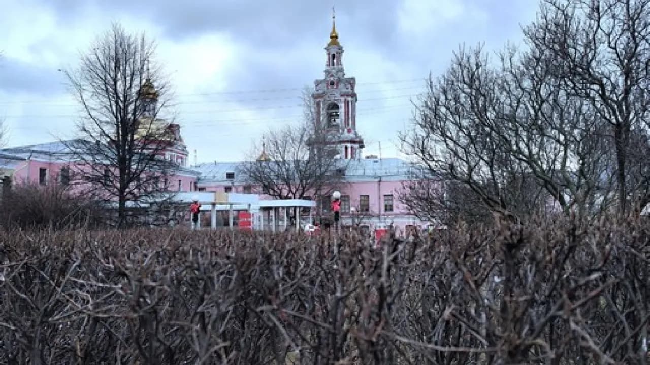 Изображение услуги13