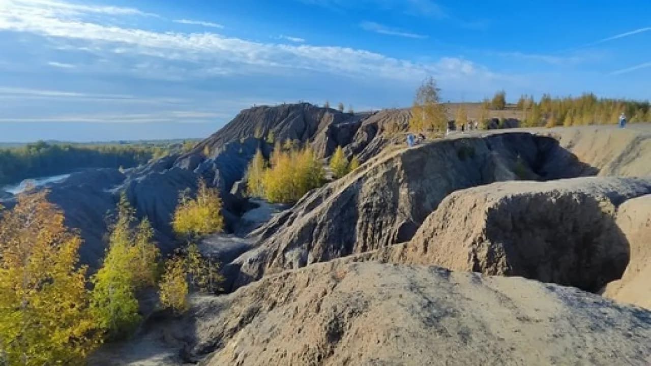 Изображение услуги11