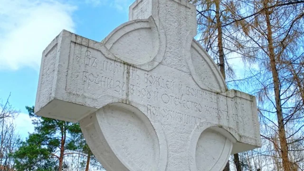 Изображение услуги2