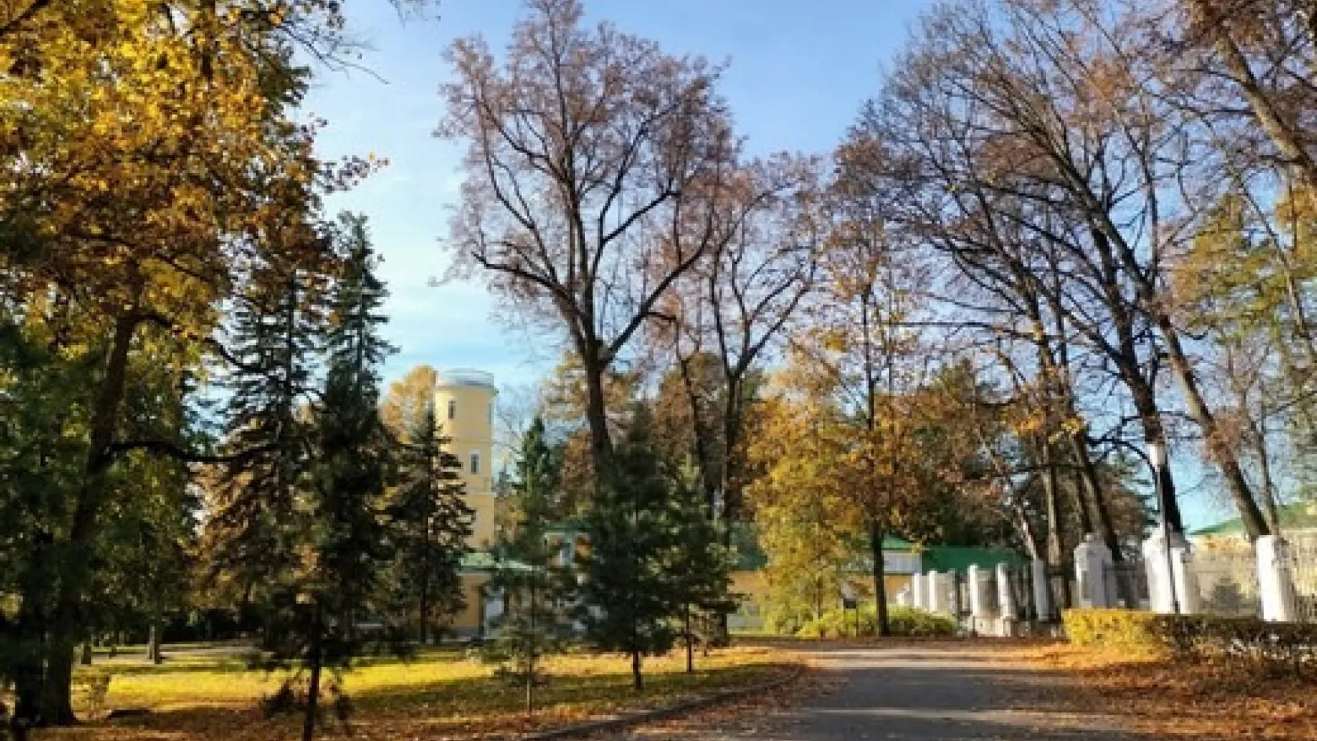 Изображение услуги3