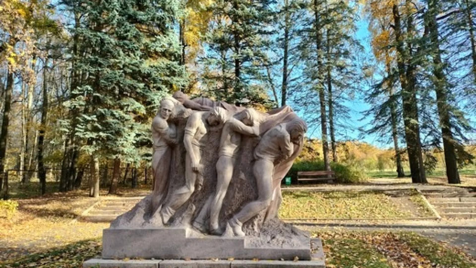 Изображение услуги9