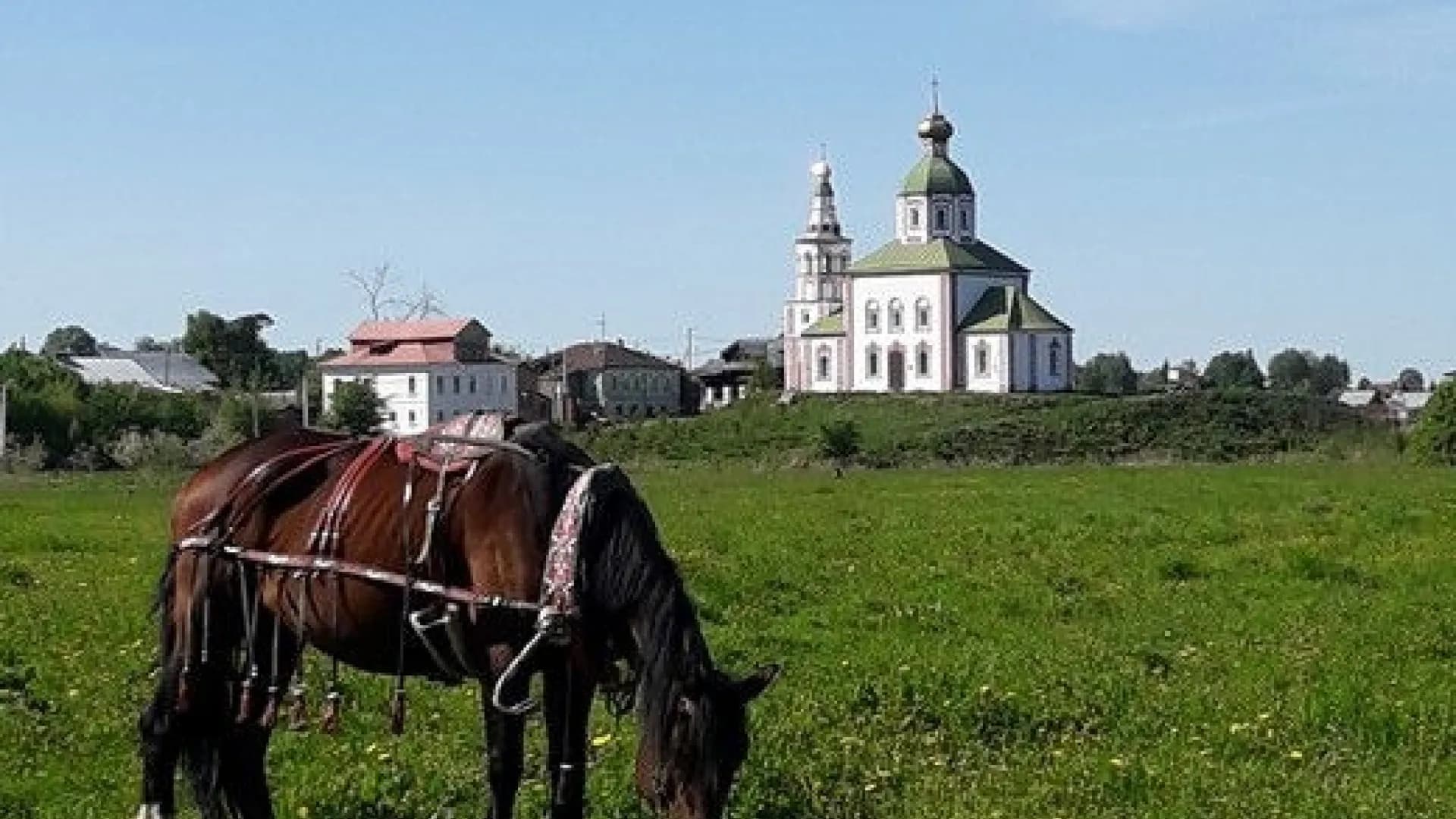 Изображение услуги5