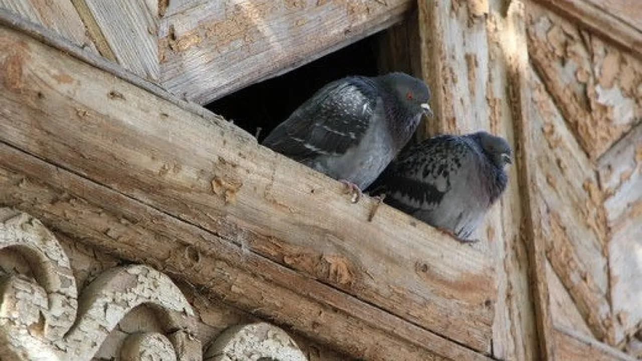 Изображение услуги7