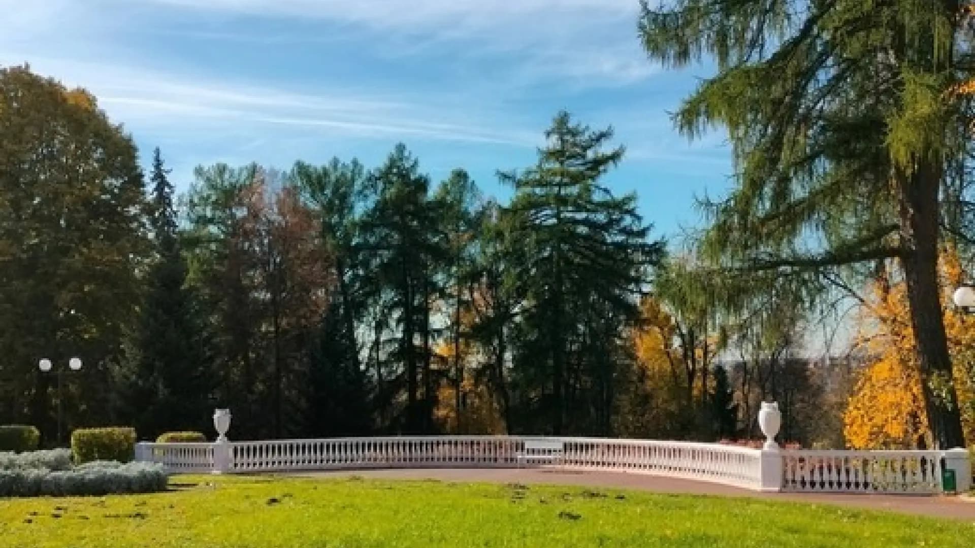 Изображение услуги2