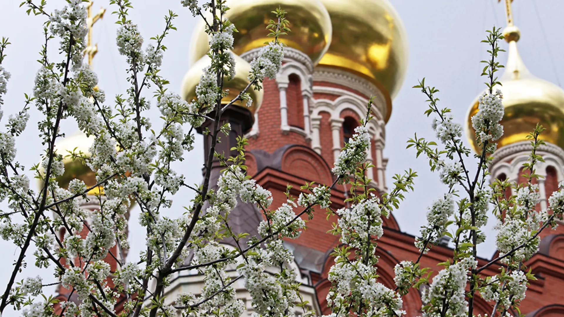 Индивидуальная экскурсия "Топловский и Свято-Троицкий монастыри"